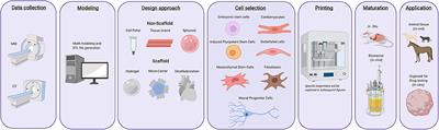 A Review of Recent Advances in 3D Bioprinting With an Eye on Future Regenerative Therapies in Veterinary Medicine